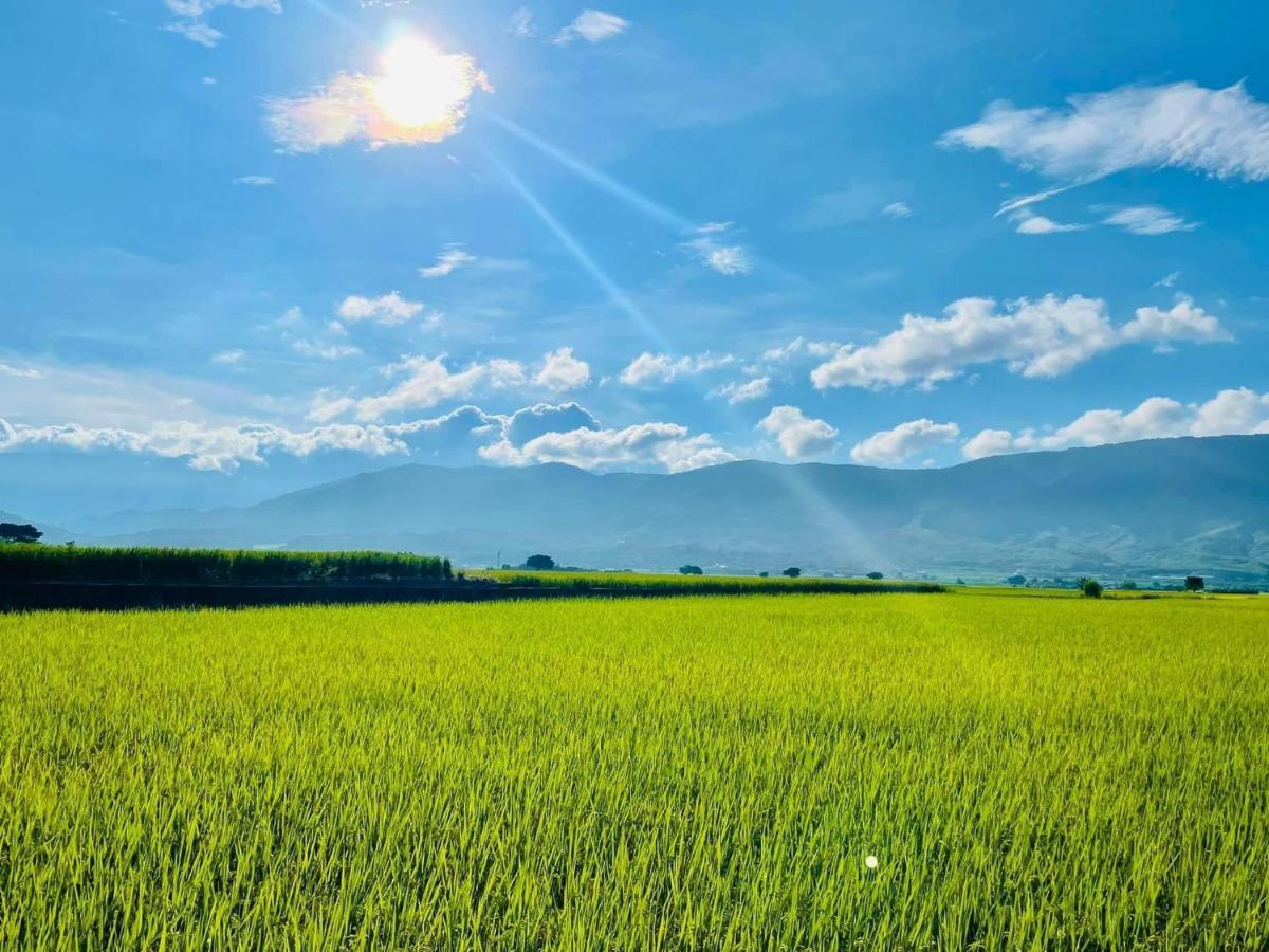 關山稻香田園民宿 Haiduan Zewnętrze zdjęcie